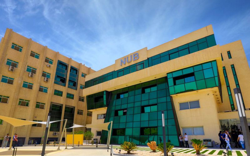 Nahda University in Beni Suef